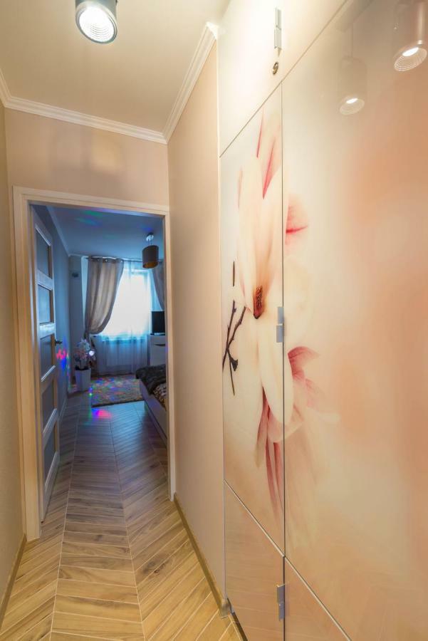 Apartament Bon Appetit - Krupowki-זקופאנה מראה חיצוני תמונה